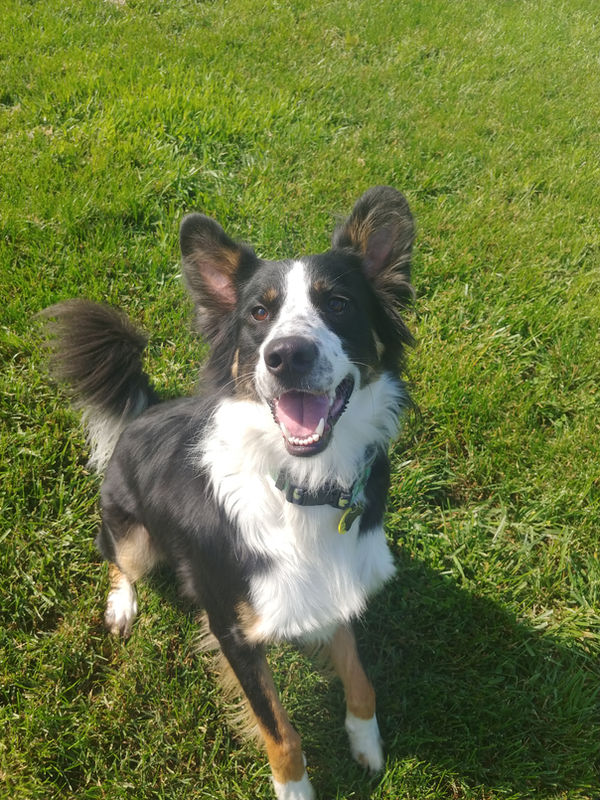 Grooming in progress