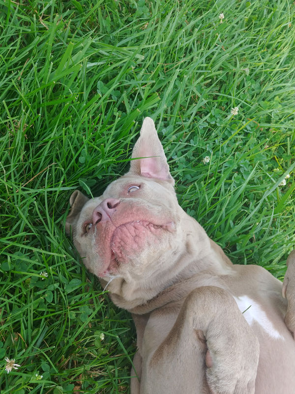 Clean and ready for pickup