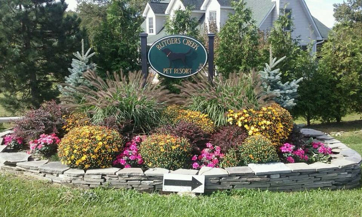 Dogs running at Rutgers Creek Pet Resort